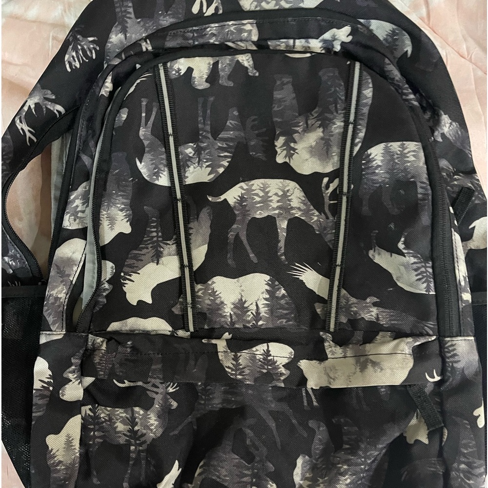 Land’s End back pack